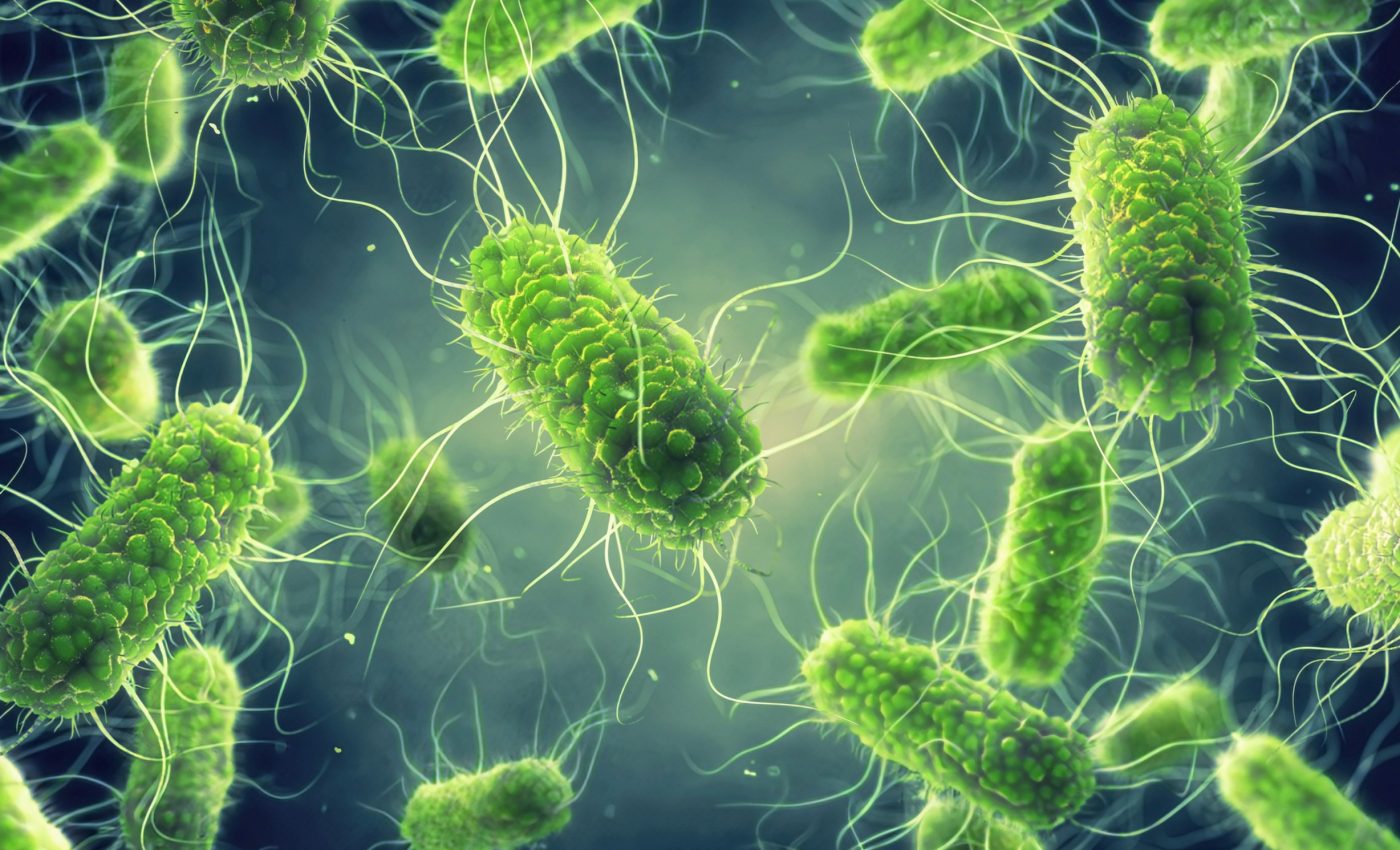 How Salmonella outsmarts our gut defenses