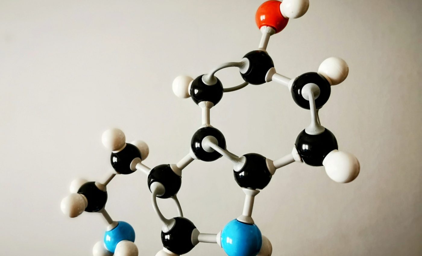 How dopamine and serotonin shape behavior