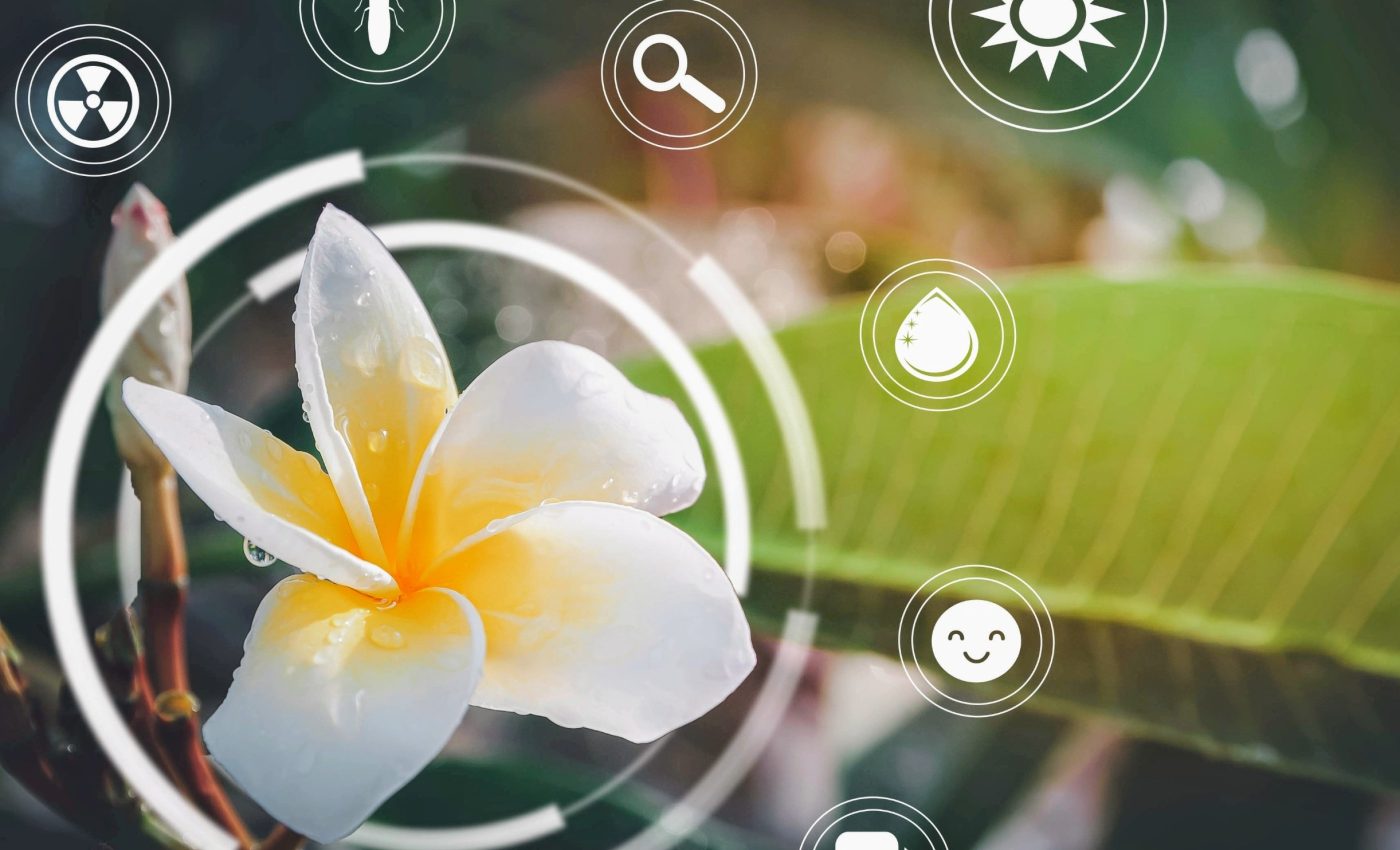 New sensor remotely tracks plant health in real time