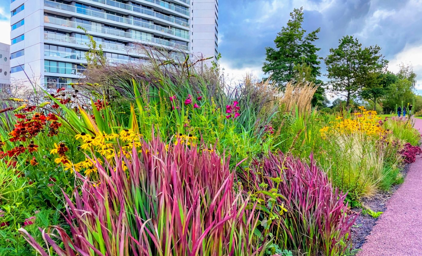 Urban biodiversity is not a luxury - it is attainable for everyone