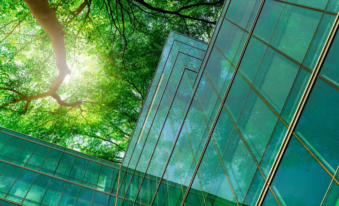 Cities in the Global South have far less green space