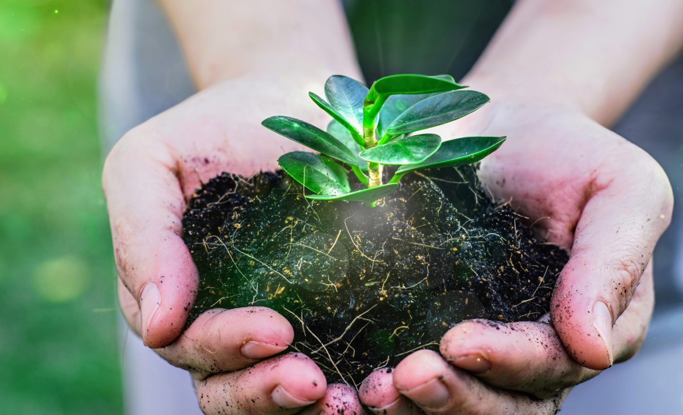 World Soil Day 2024: Protecting our planet's lifeline