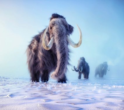 2024/12/Ancient-Americans-mammoths.jpg
