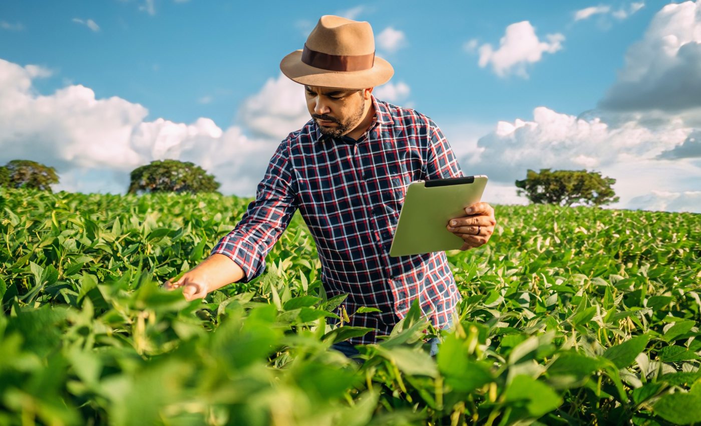 We are in a race against time to save our food supply from climate change