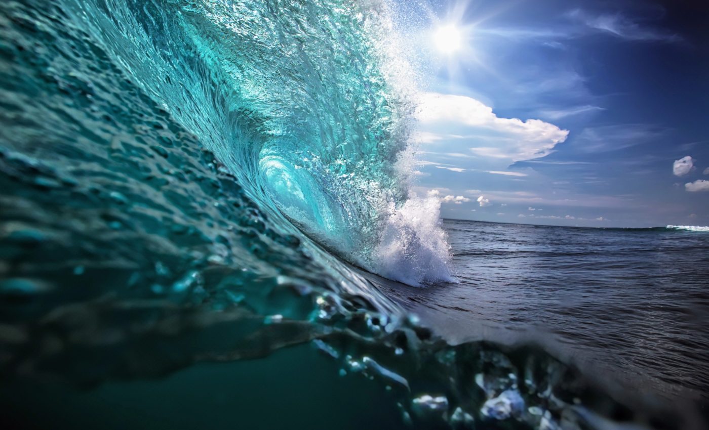 Marine plankton are key players in carbon cycle regulation