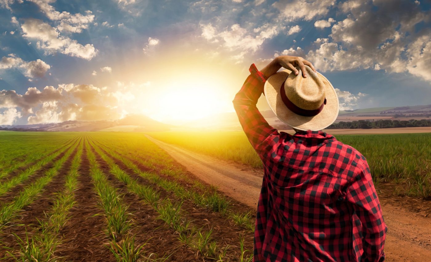 Rising heat is disproportionately killing young adults