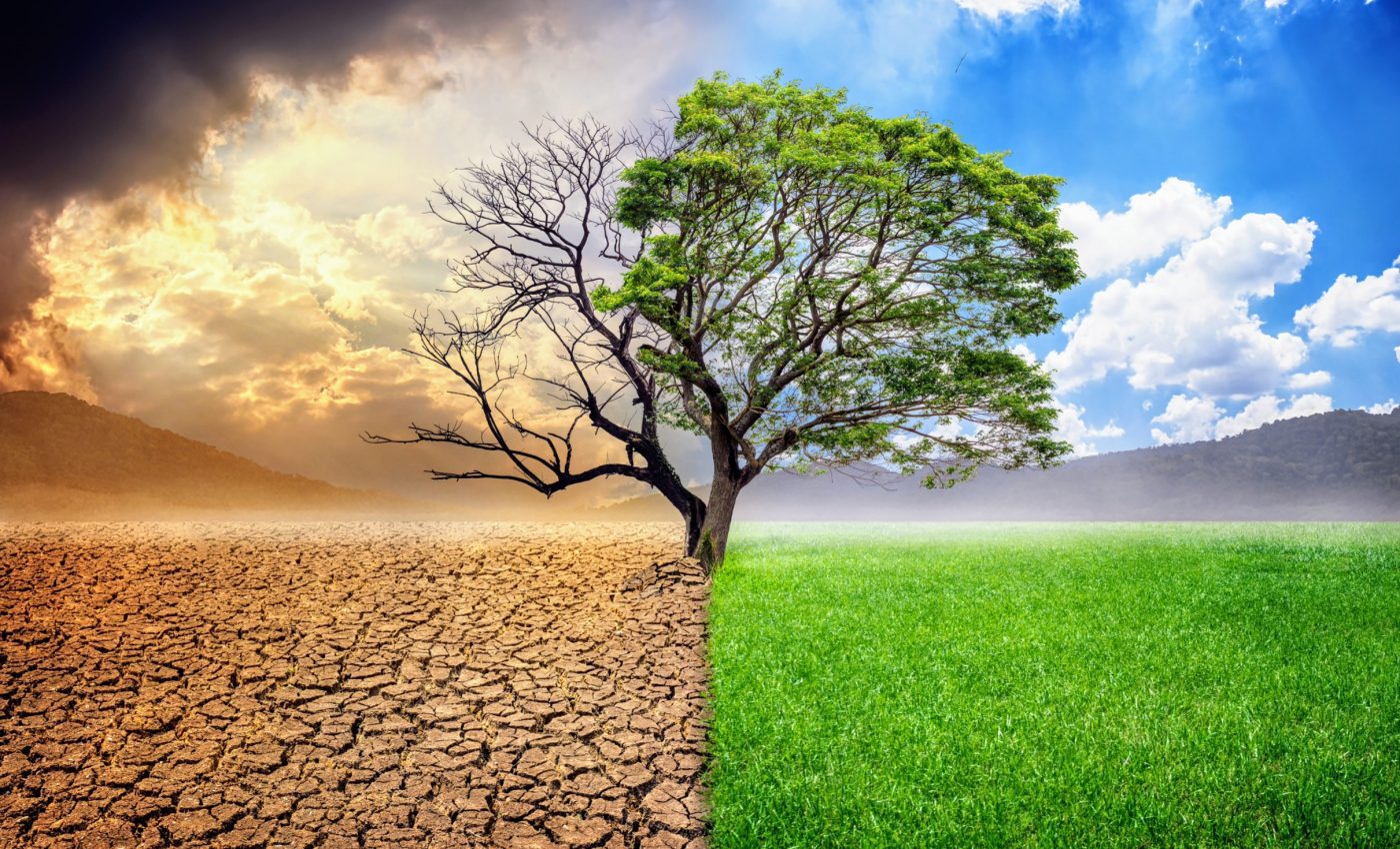 40 percent of Earth's land has became permanently drier 