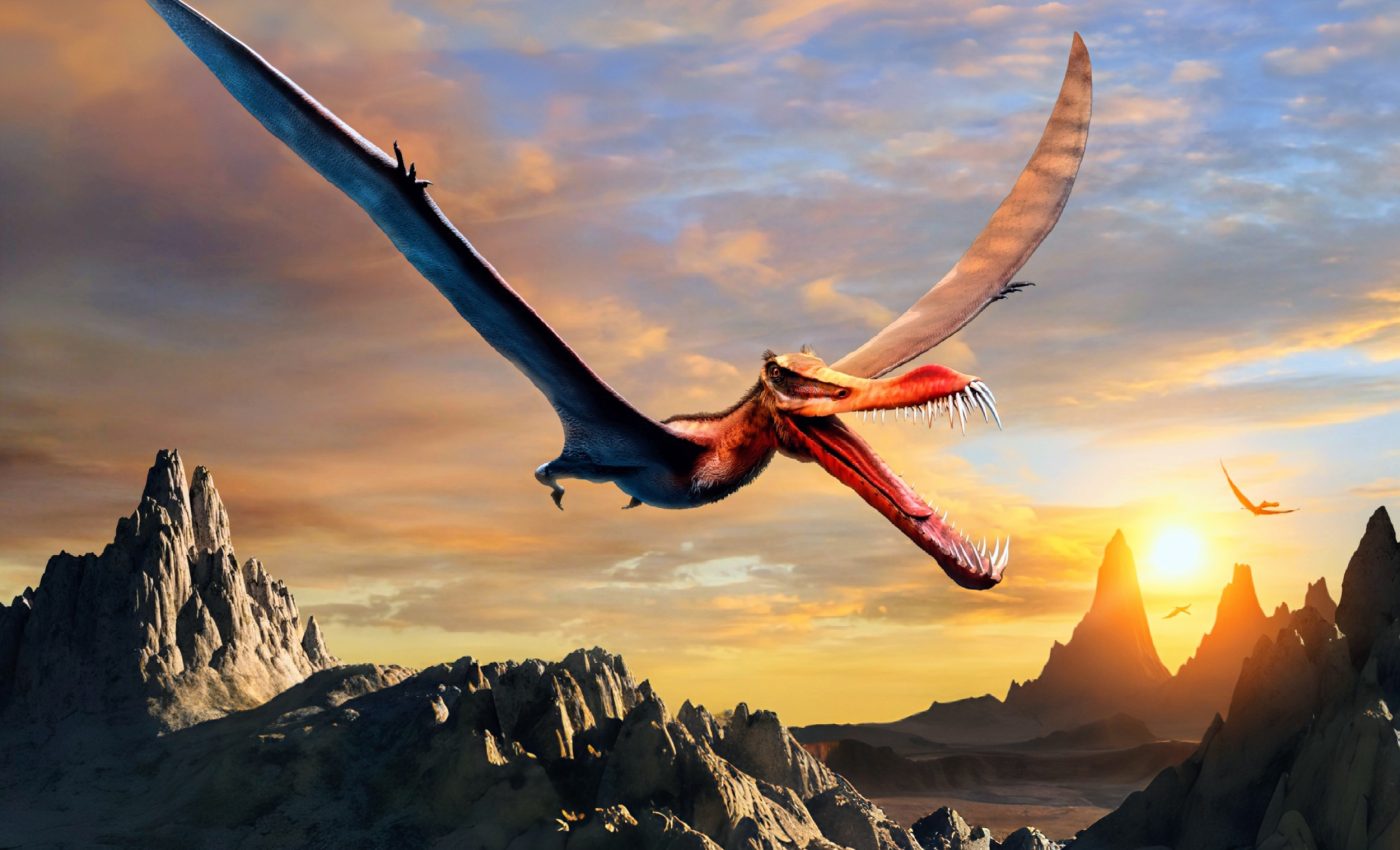 Pterosaurs took flight millions of years before birds, according to new discovery