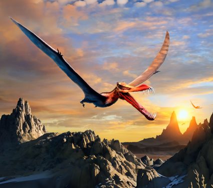 2024/12/Pterosaur-flight-.jpg
