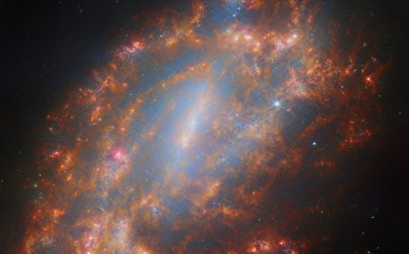 2024/12/NGC-1559.jpeg