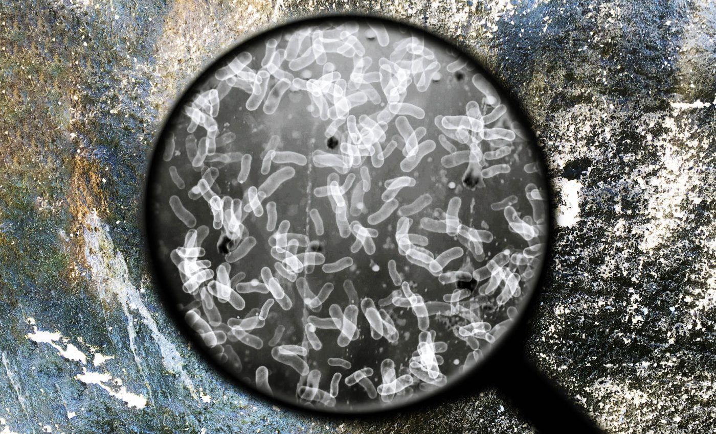 Half of Earth's microbial life may be hiding beneath the surface