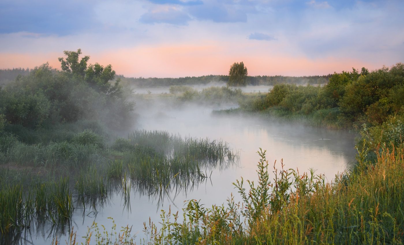Chemical mixtures in rivers pose unknown threats to aquatic life