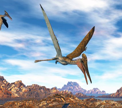 pterodactylus_flying_lake_sunset_1m.jpg