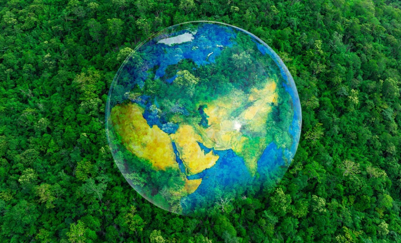 China’s Great Green Wall has reached a new milestone