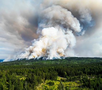 2025/01/Wildfires-Canada.jpg