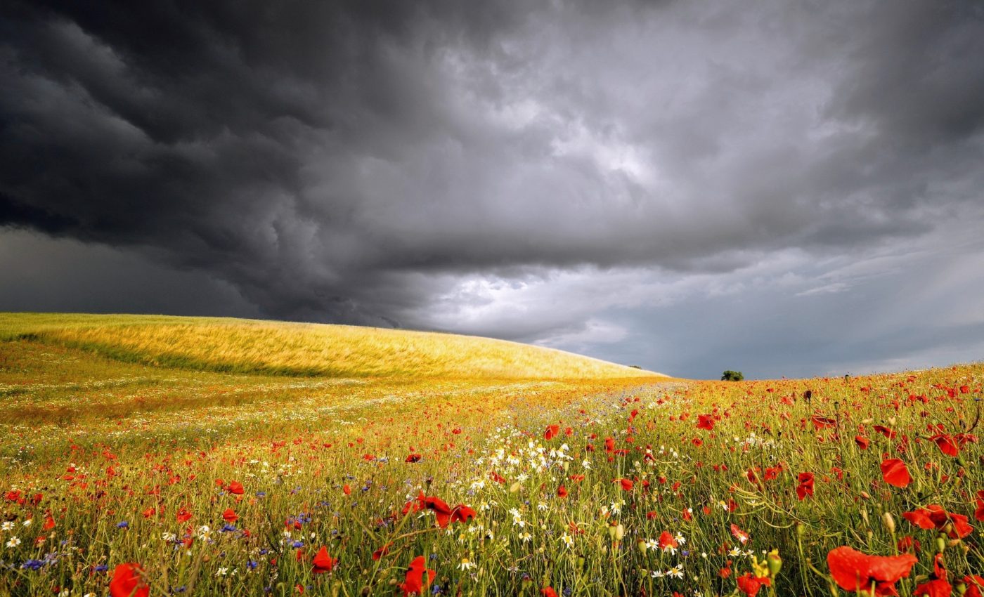 Extreme summer rainfall events have increased in the U.S.