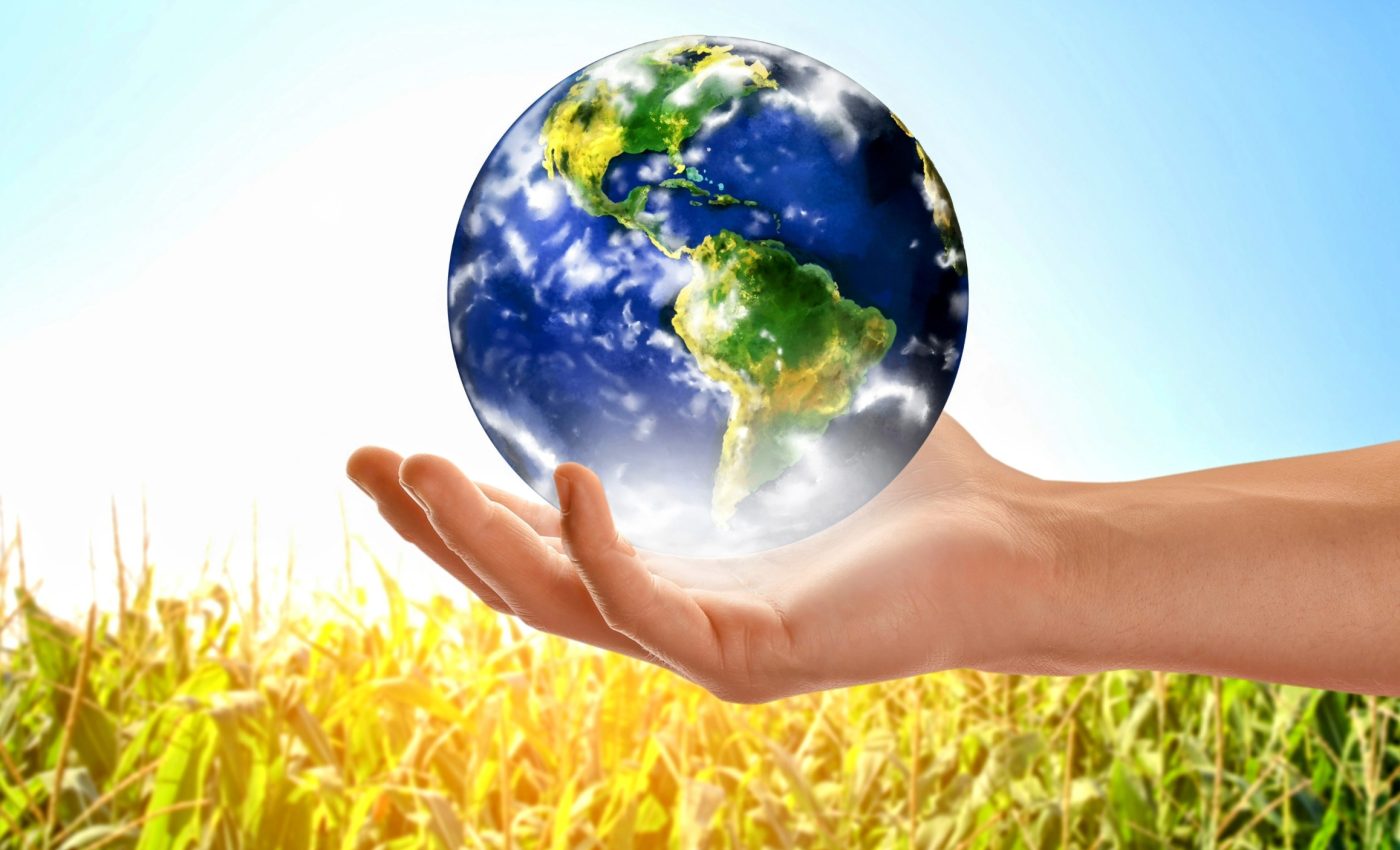 2024 confirmed as Earth's hottest year in recorded history