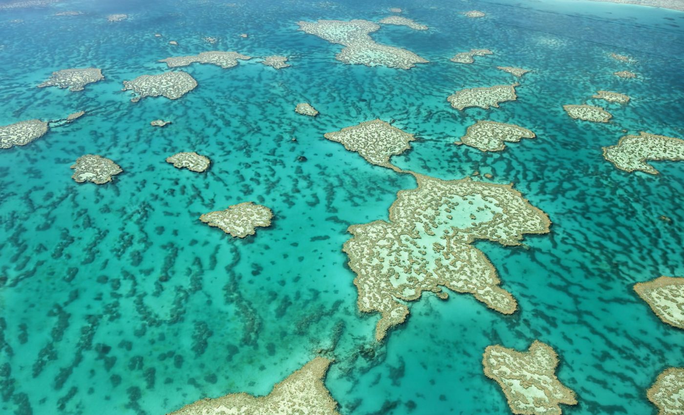 Bleaching effect: Coral loss threatens fisheries and livelihoods