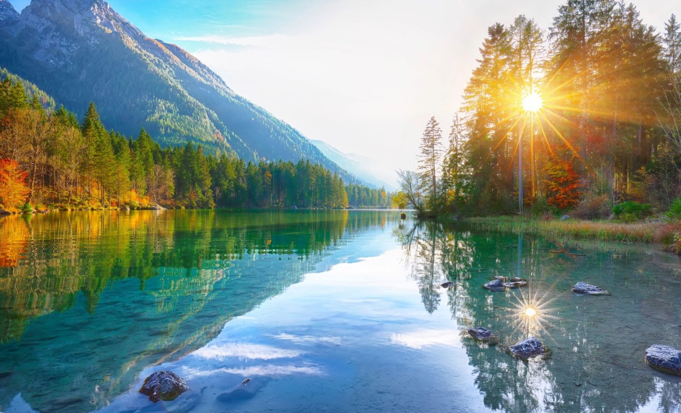 Thousands of freshwater species are threatened with extinction