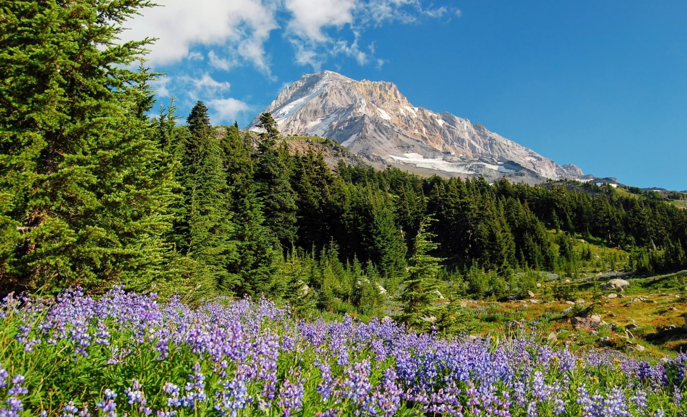 Hidden water reservoir discovered beneath the Cascade mountains