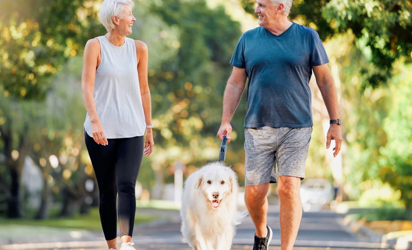 Dog walking improves mobility and prevents falls in older adults