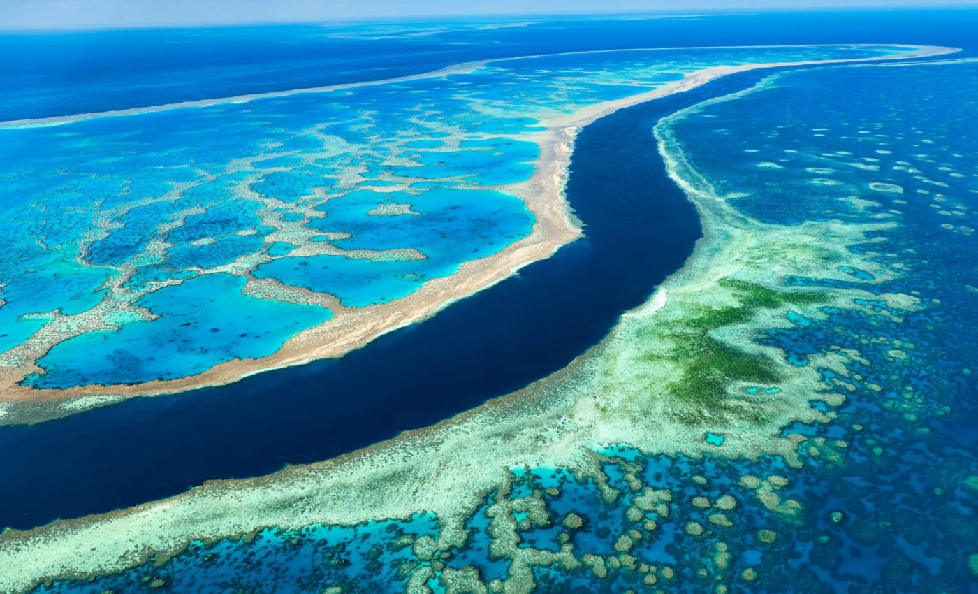 Coral bleaching has reached "catastrophic" levels on the Great Barrier Reef