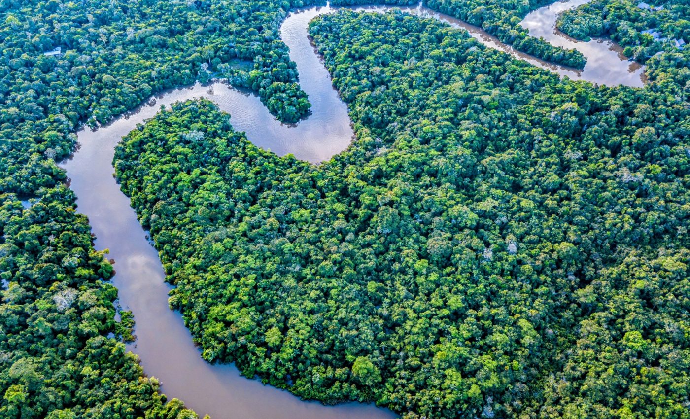 Tiny microbes in Amazon peatlands help balance the global climate