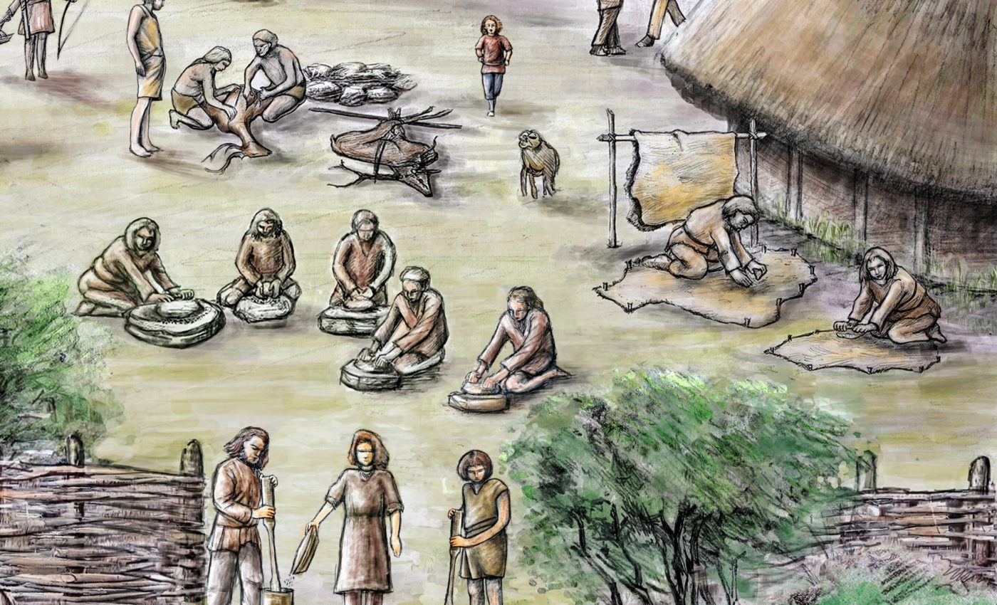 Surprising diet of early farmers from 5,000 years ago revealed by new technology