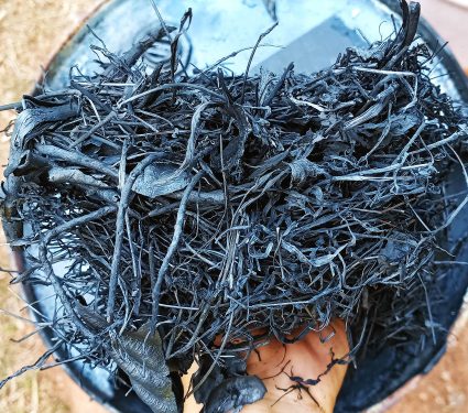 Biochar,Is,Charcoal,Used,As,A,Soil,Amendment,For,Both