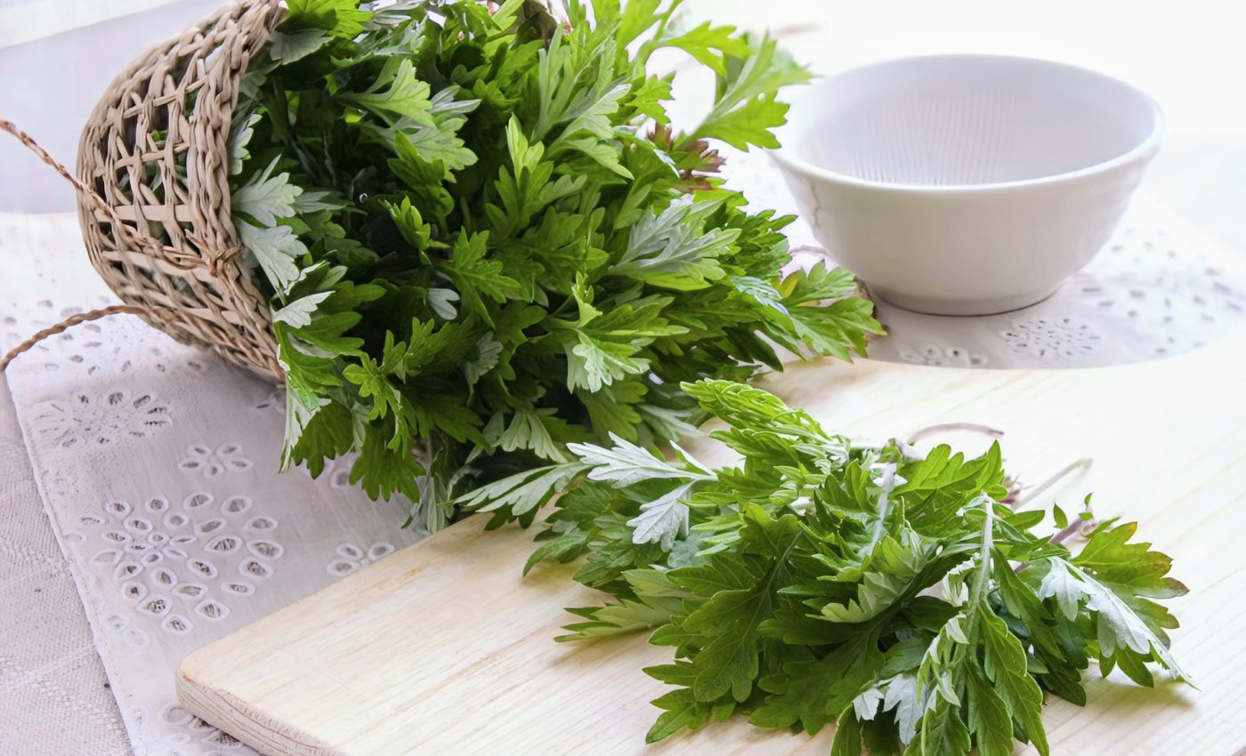 Medicinal plant has great potential to fight colorectal cancer