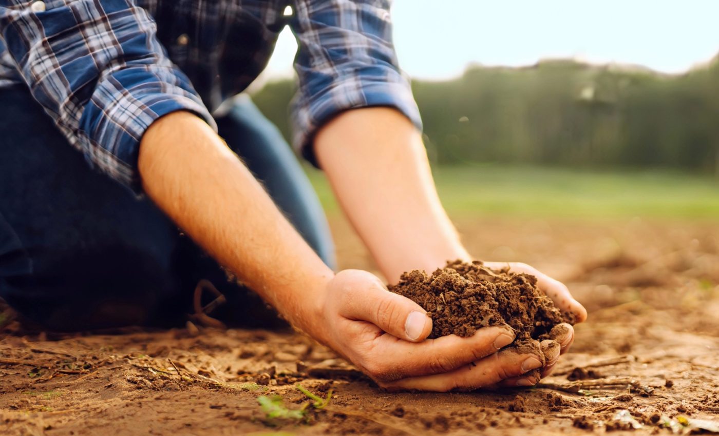 Future of farming: Insect waste reshapes soil health