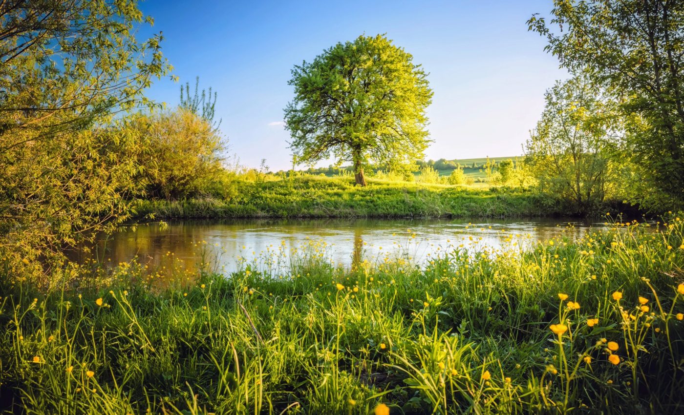Controlled fires can help us save grasslands from disappearing