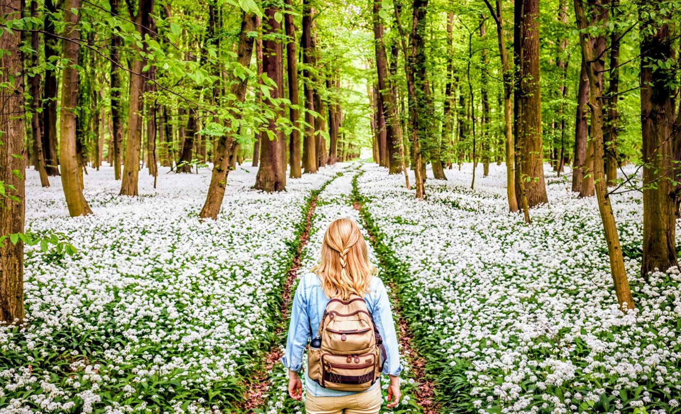 People must reconnect with nature now to save biodiversity