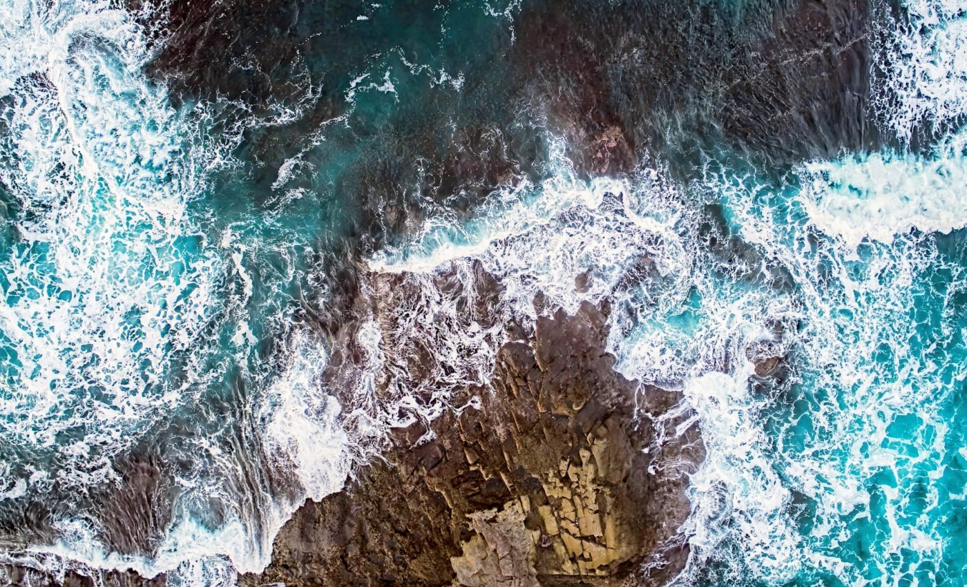 Underwater mud volcano harbors marine life in the Arctic