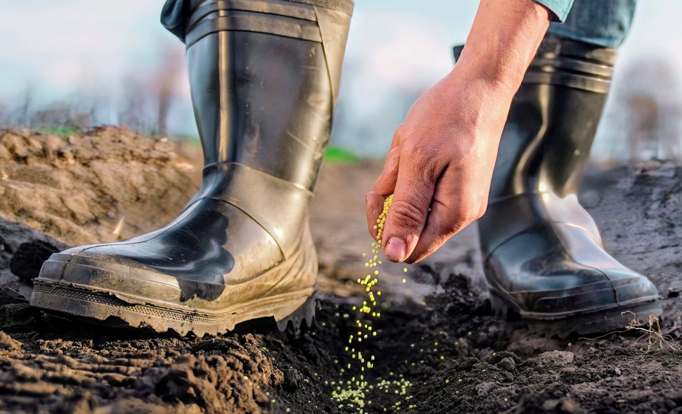 Agroforestry could transform farming in the Midwest
