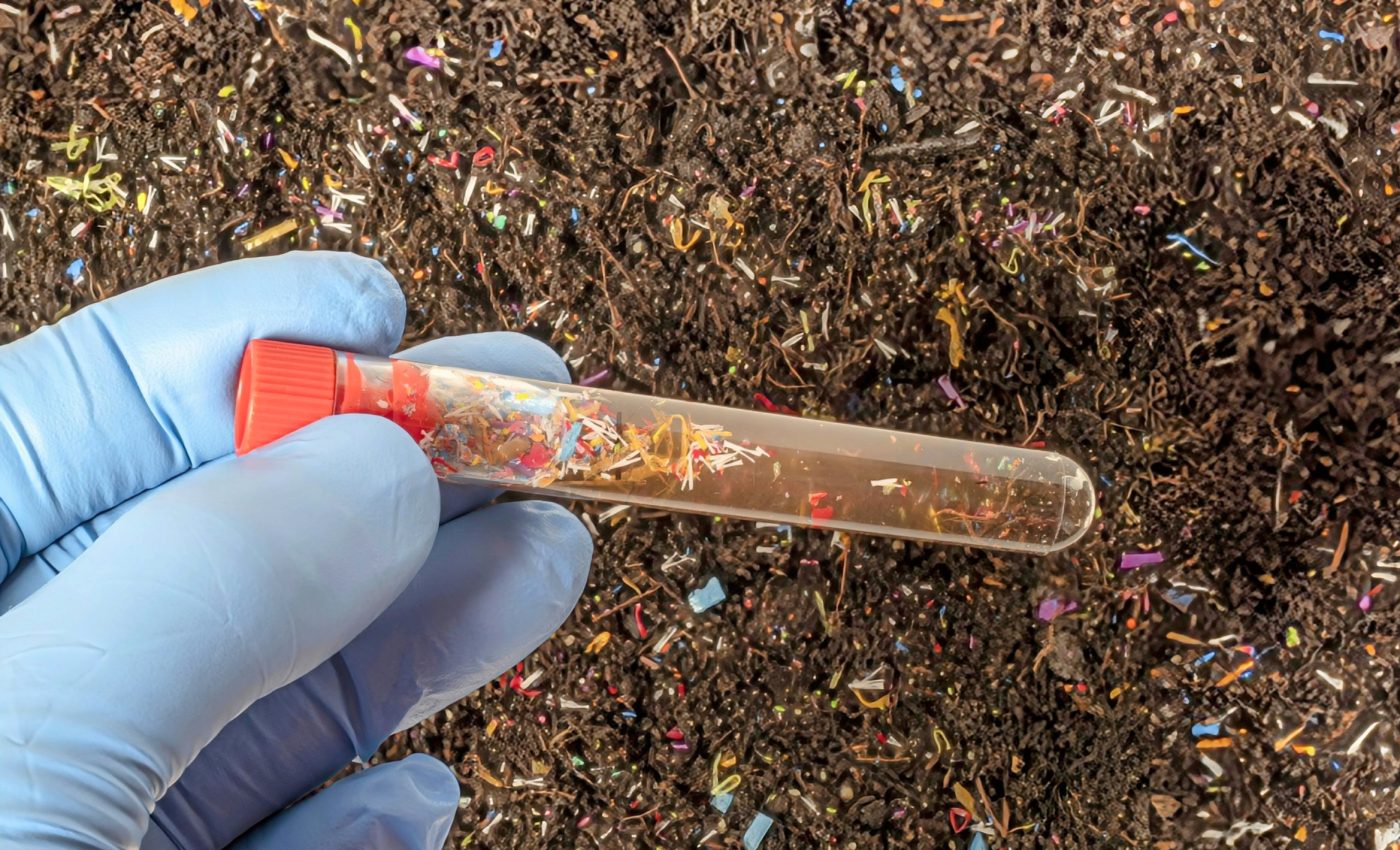 Plastics supercharge toxin absorption in plants and humans