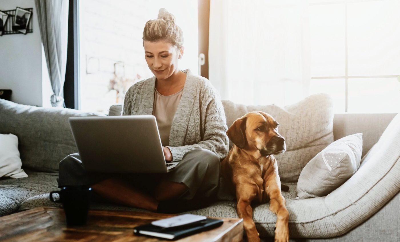 Pandemic puppy owners report challenges but remain committed