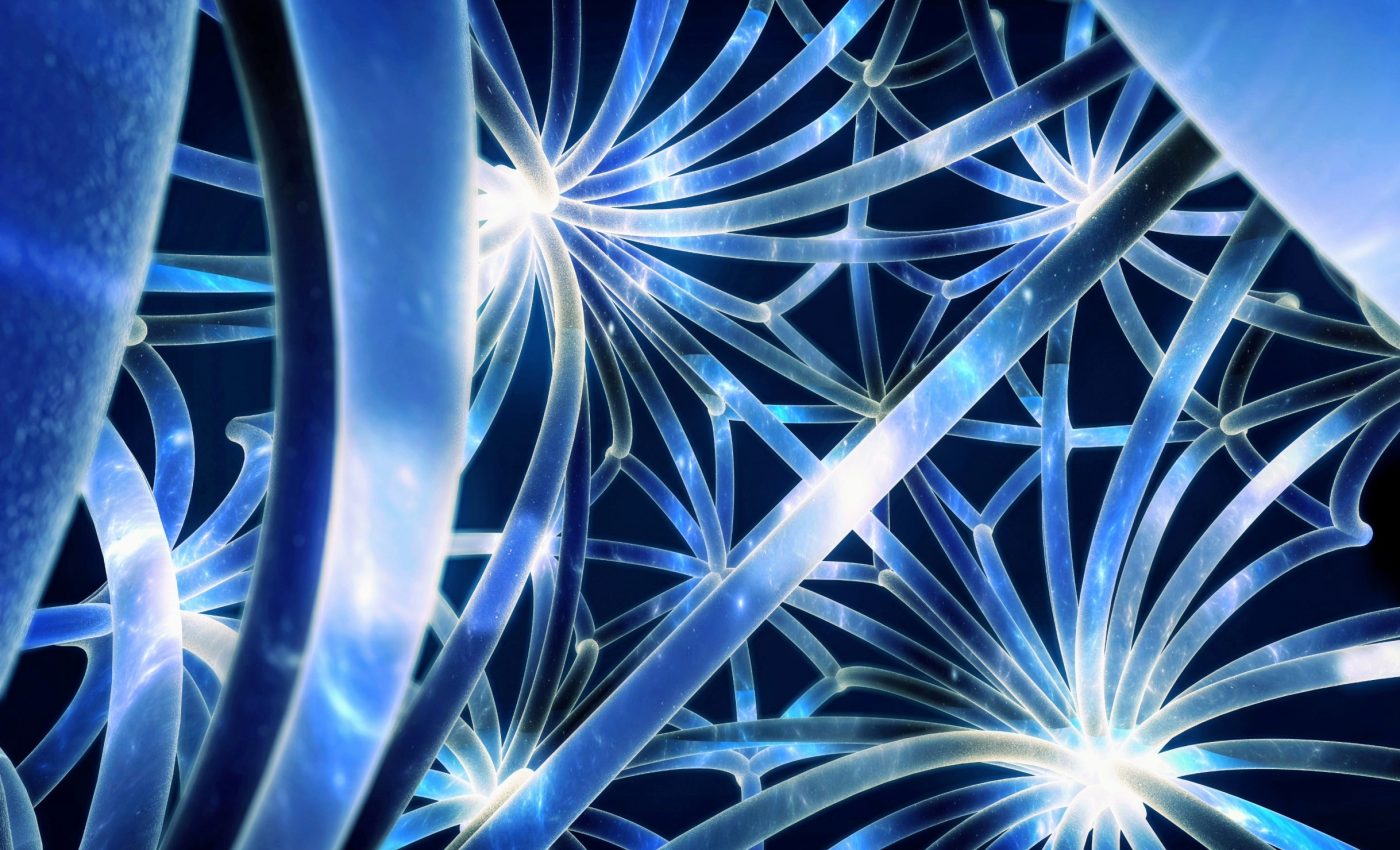 Key neurons act as 'ringleaders' to guide decision-making