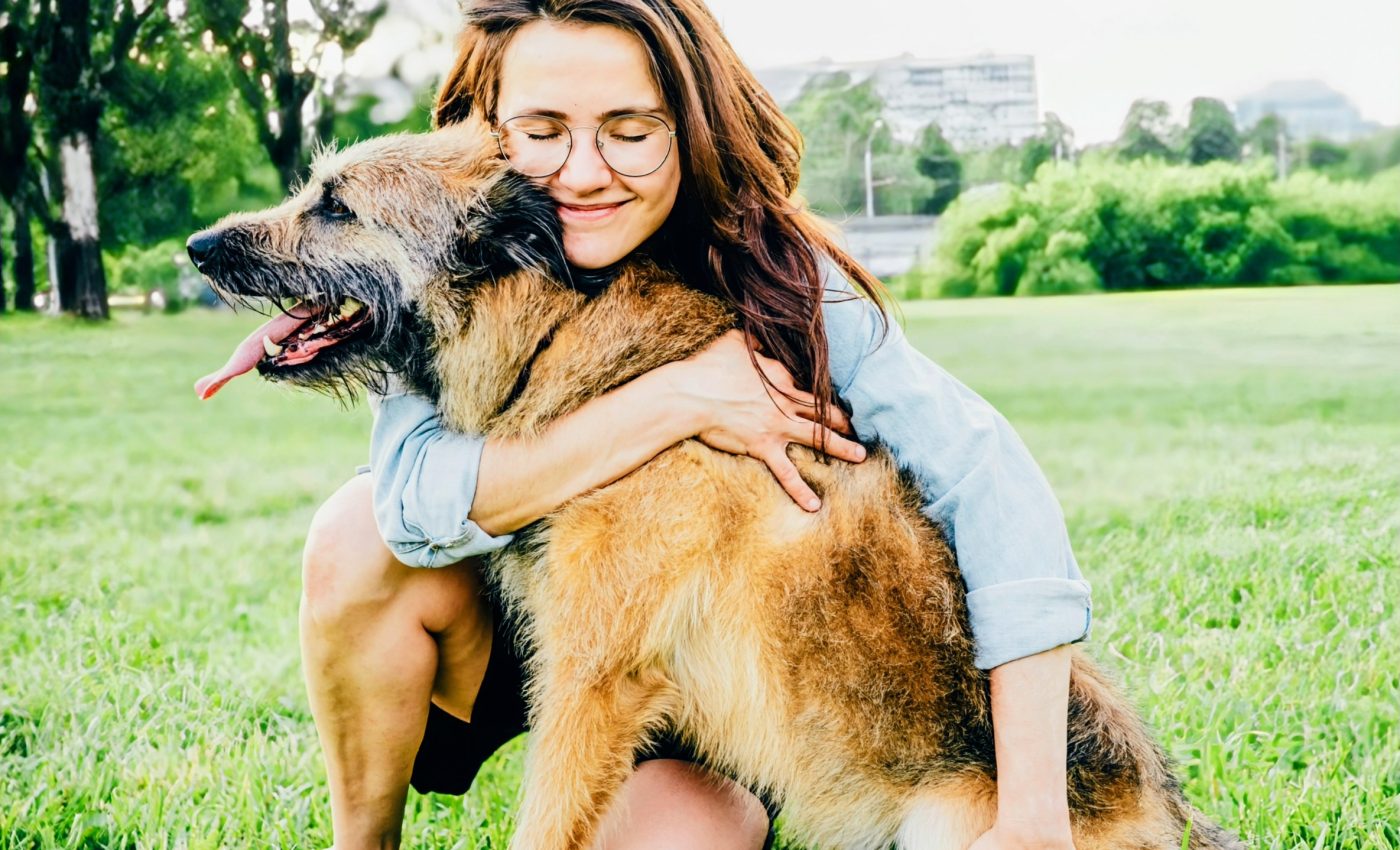 Therapy dogs on campus help students manage stress and anxiety