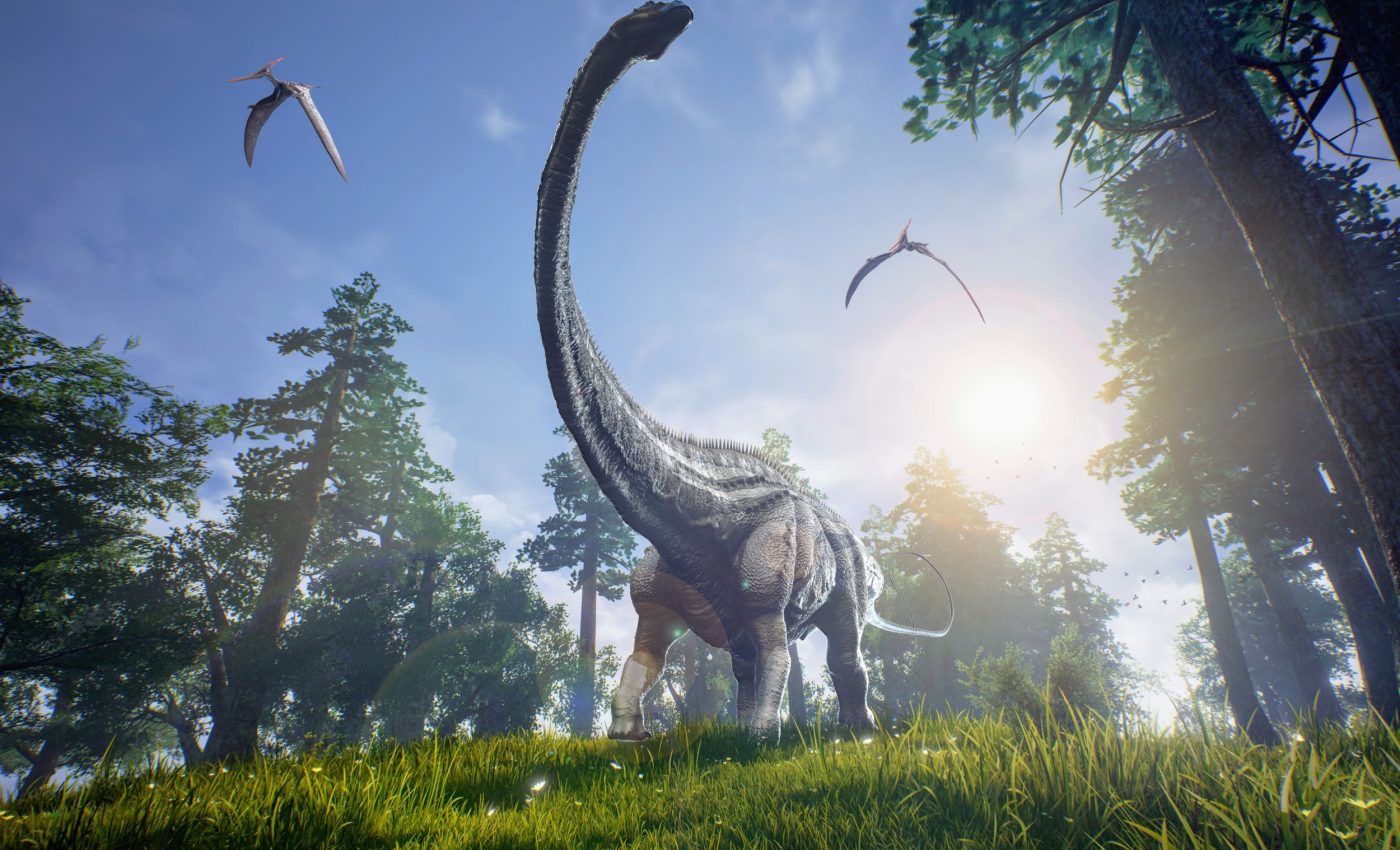 How dinosaur extinction influenced fruit evolution