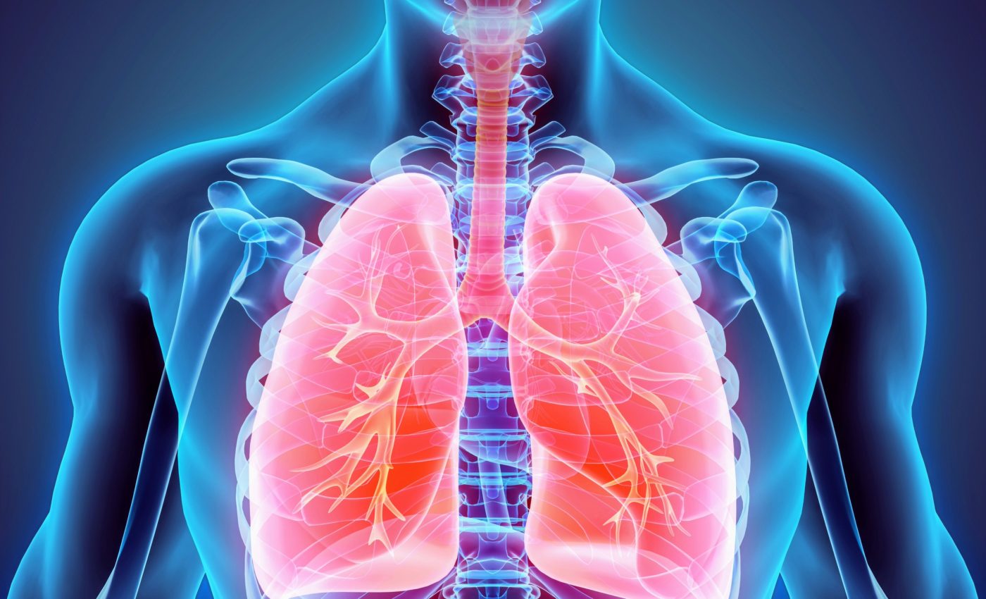 Organ aging can predict diseases decades in advance