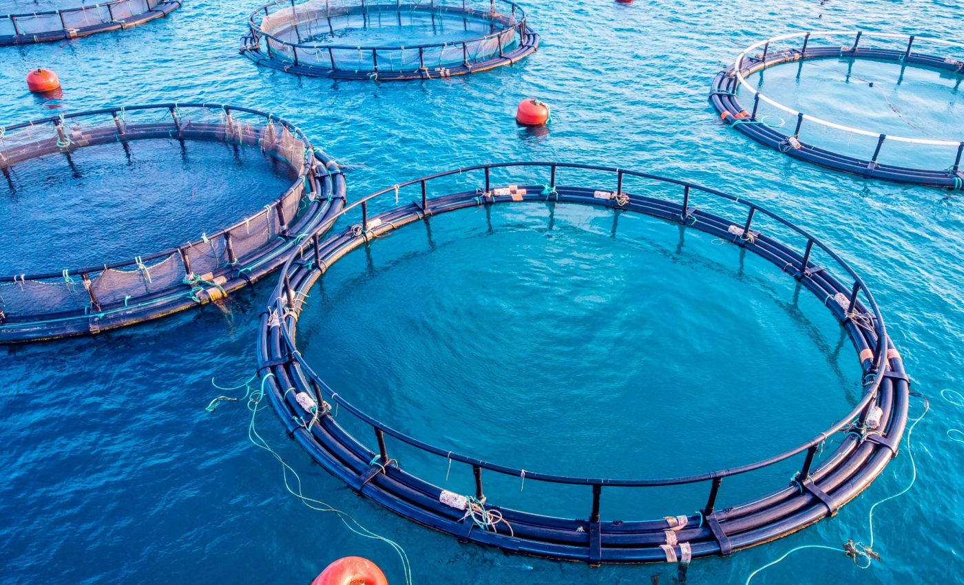 Boosting seafood production while protecting biodiversity