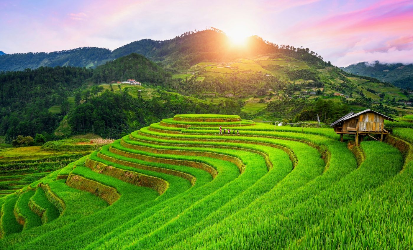 Critical food crops are threatened by rising temperatures globally