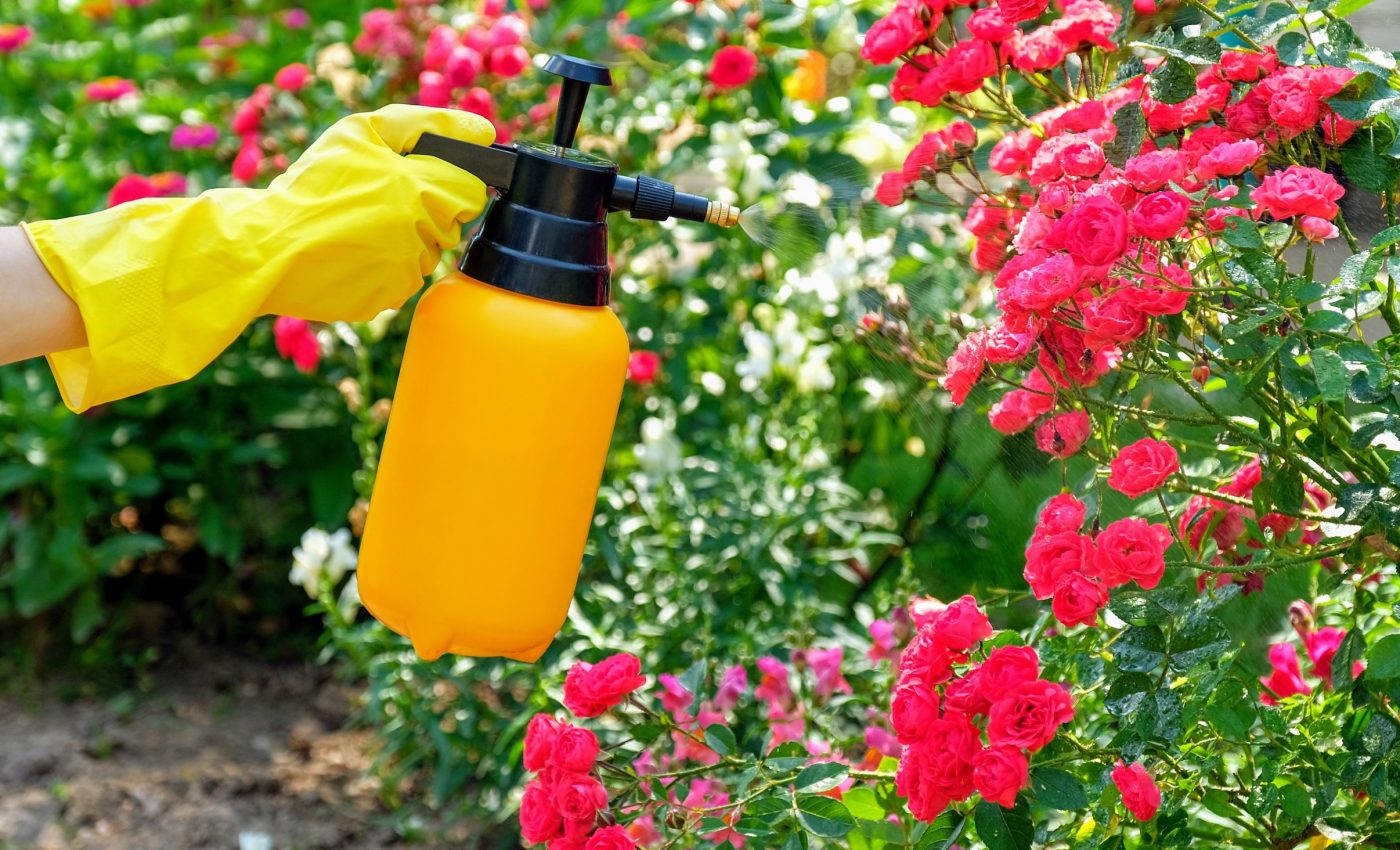 Pesticides affect bumble bee health in complex ways