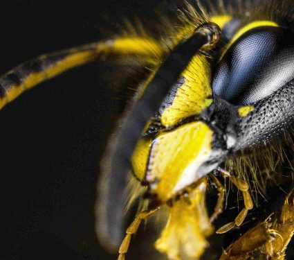 iron ore deposit - 1