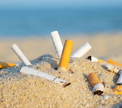2025/03/Cigarette-waste.jpg
