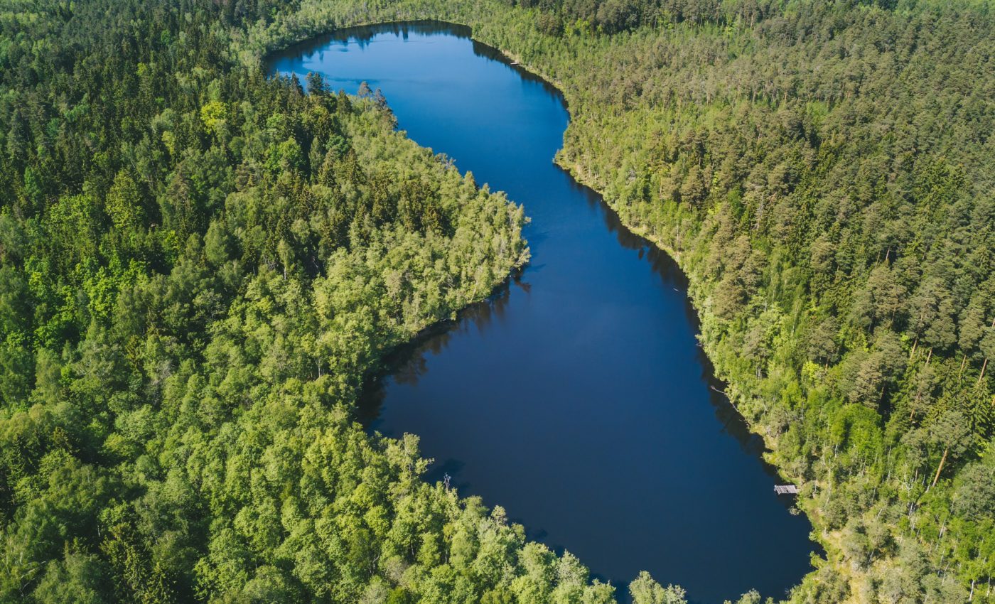 Large, undisturbed forests support greater biodiversity 