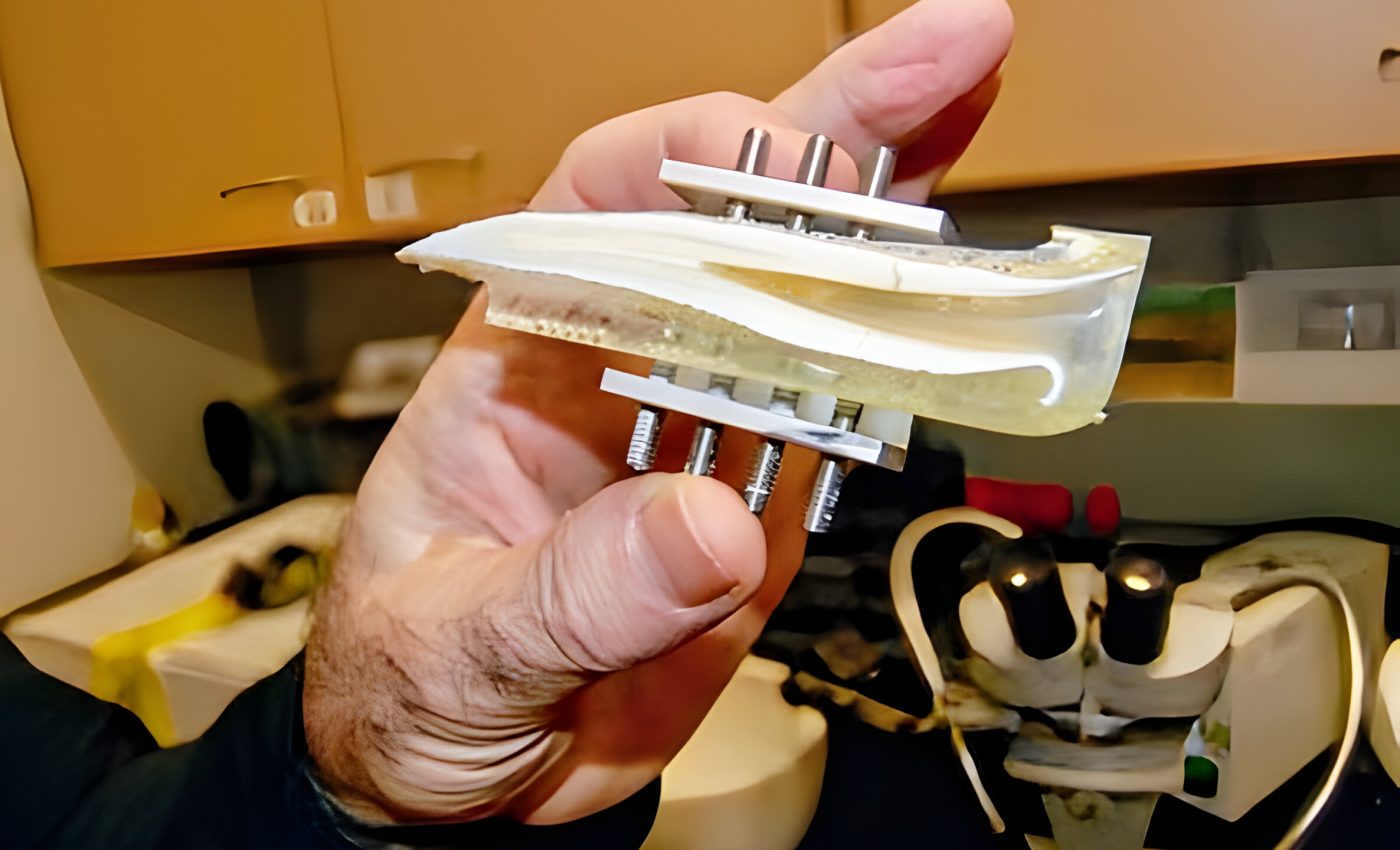 How an elephant's teeth can help us track animal movements