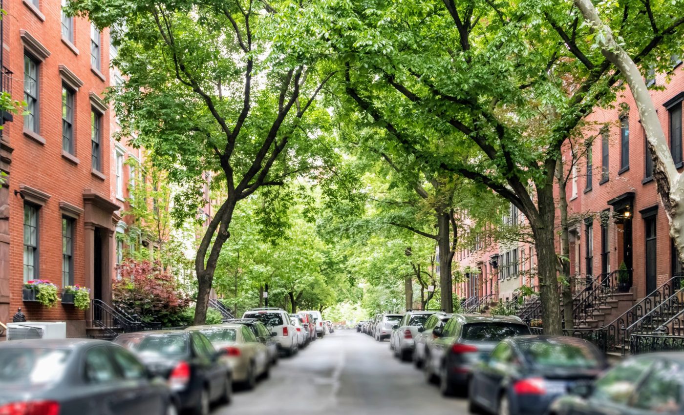 Urban tree layout influences human health and mortality rates