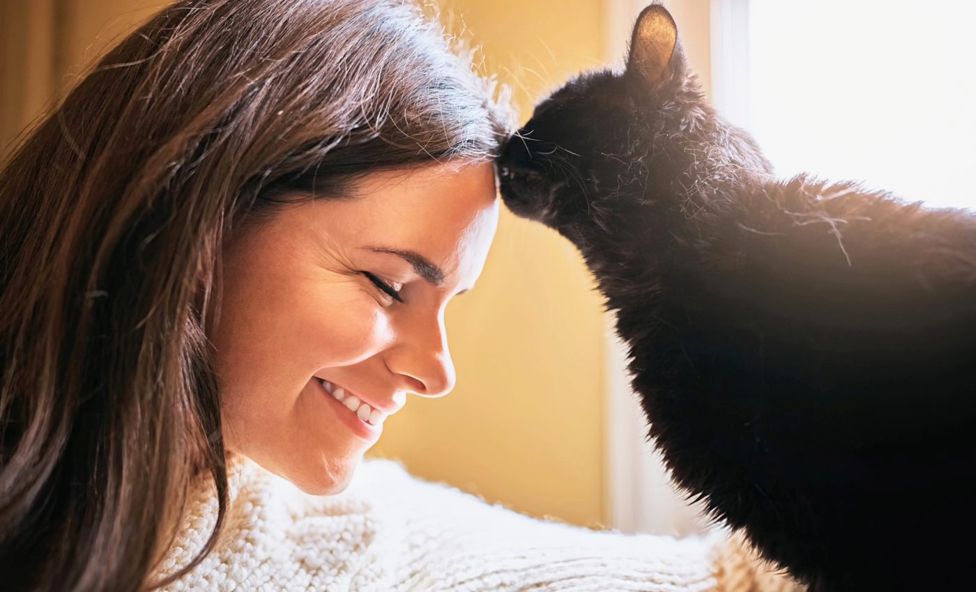 Cats that like attention can soothe people during therapy